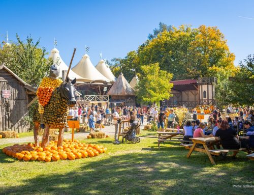 Start Schloss Kaltenberg Kürbiswelten 2025