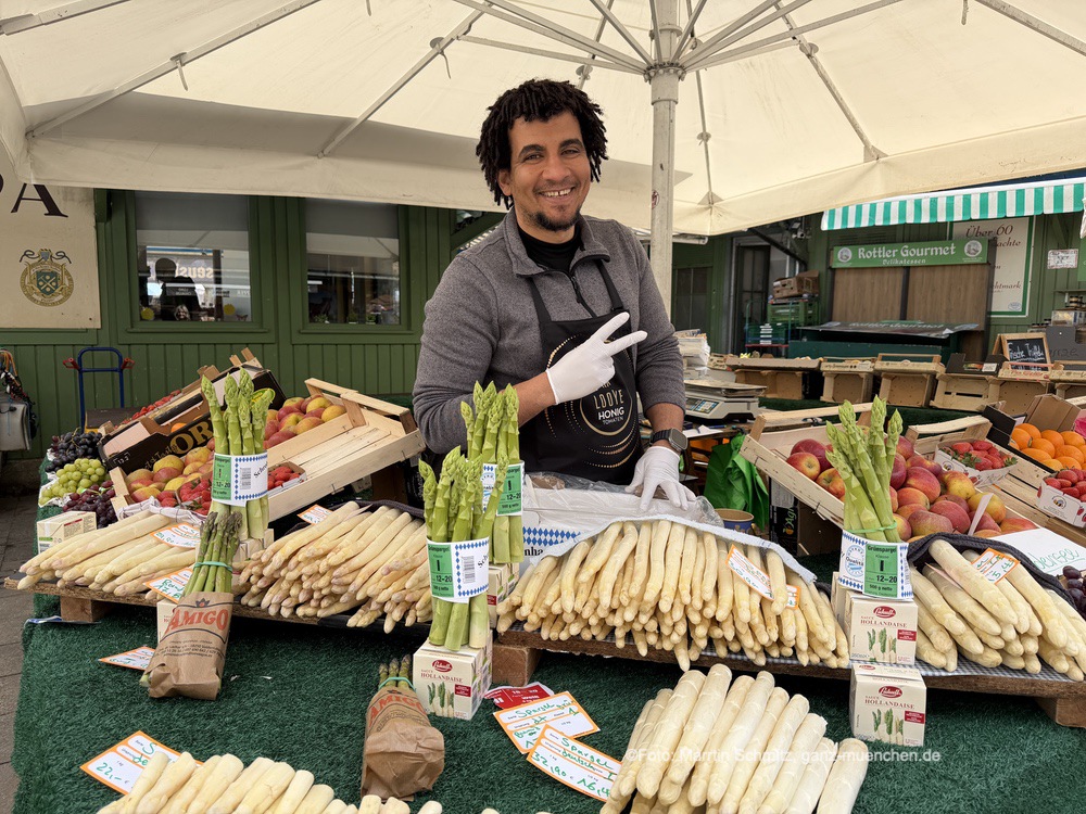 Auf dem Viktualienmarkt gibts inzwischen den Spargel bereits zwischen 12 und 32 € das Kilo - dank guter Witterung werden die Preis noch weiter sinken nach Ostern (©Foto: Martin Schmitz)