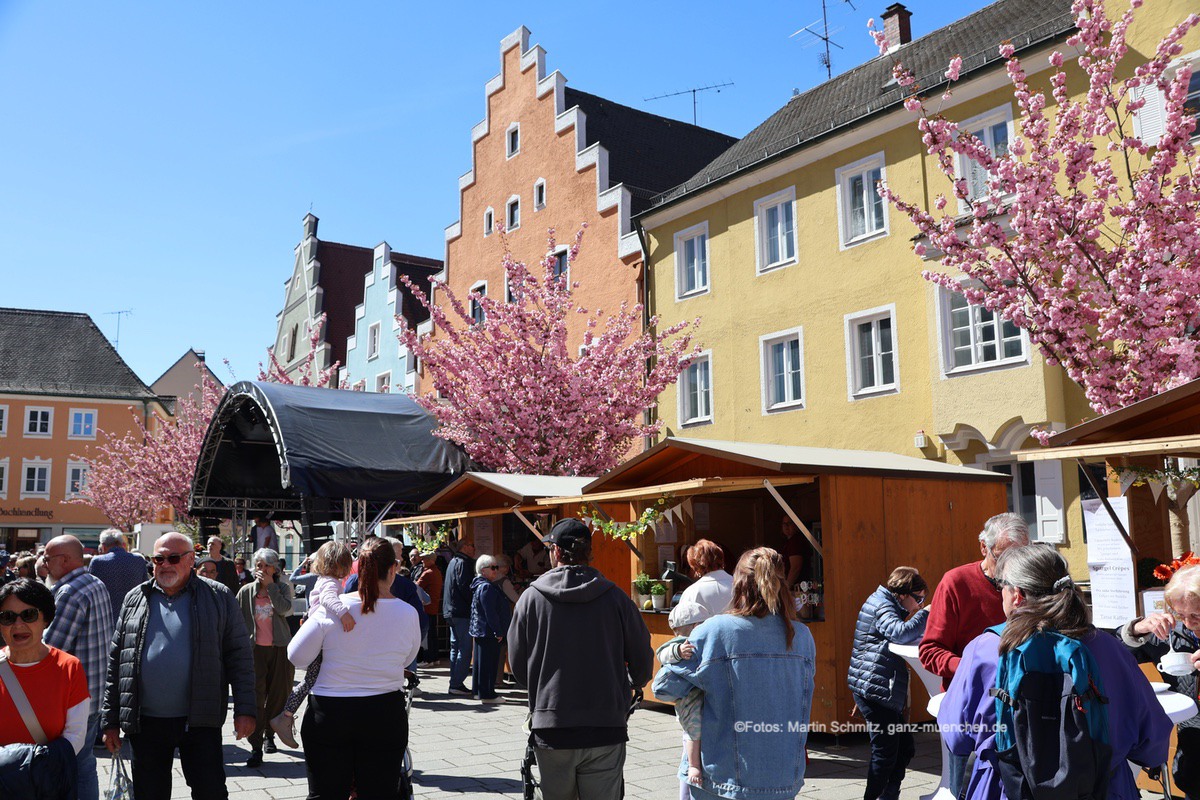 Spargel- und Genussfest Schrobenhausen am 25.04.2026 in der Altstadt Schrobenhausen (©Foto: Martin Schmitz)