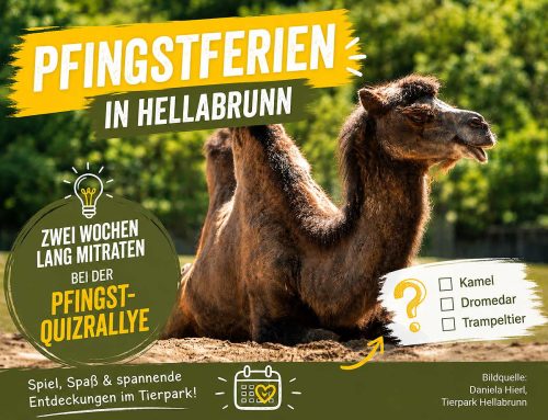 Pfingstferien-Quiz im Tierpark Hellabrunn
