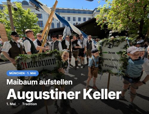 Maibaum im Augustiner Keller – Handwerk statt Kran