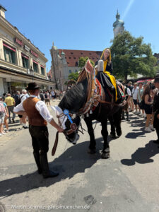 Münchner Kindl Sina Hochreiter beim Einzug zum Münchner Brauertag 2026 mit Freisprechung der Brauer am 20.06.2026 (©Foto. Martin Schmitz)