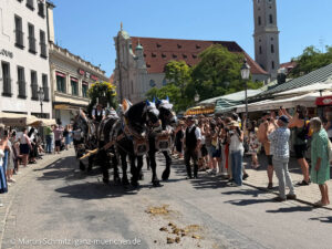 Brauertag 2026 mit Freisprechung der Brauer am 20.06.2026 (©Foto. Martin Schmitz)