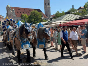 Einzug der Gespanne und Brauer beim Brauertag 2026 mit Freisprechung der Brauer am 20.06.2026 (©Foto: Martin Schmitz)