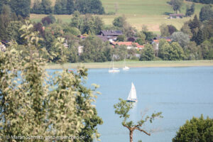 Almauftrieb 2026 in Gut Kaltenbrunn in Gmund/Tegernsee (©Foto: Martin Schmitz)