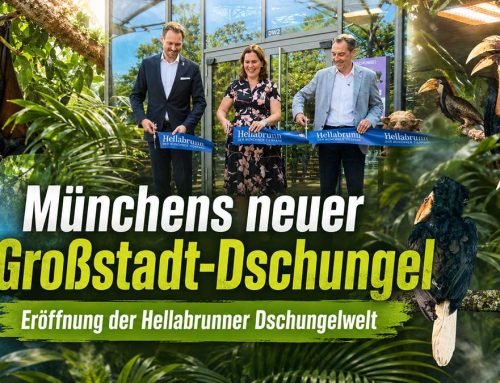 Münchens neuer Großstadt-Dschungel: Hellabrunn eröffnet die modernisierte Dschungelwelt