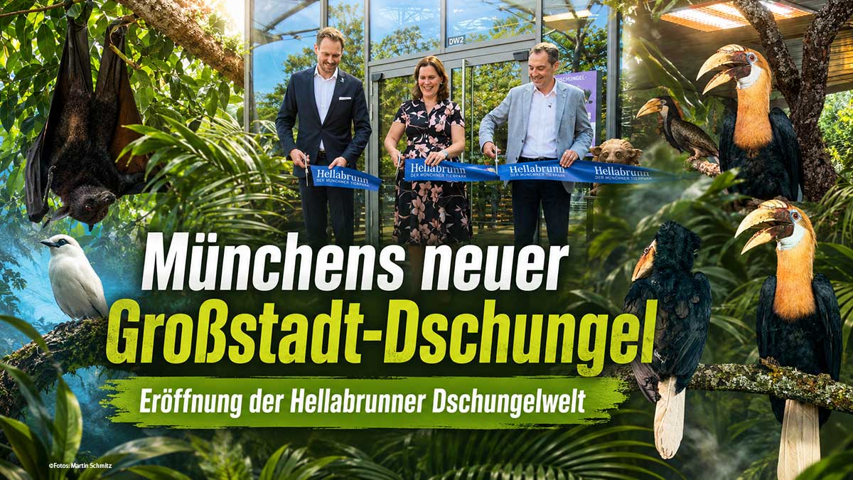 Münchens neuer Großstadt-Dschungel: Hellabrunn eröffnet die modernisierte Dschungelwelt (©Foto: Martin Schmitz)