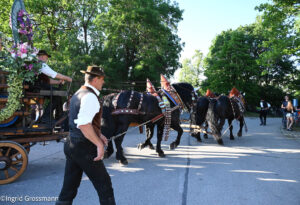 Augustiner Gespann beim Bürgerfest Unterhaching 2026 (©Foto: Ingrid Grossmann)