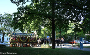 Augustiner Gespann beim Bürgerfest Unterhaching 2026 (©Foto: Ingrid Grossmann)