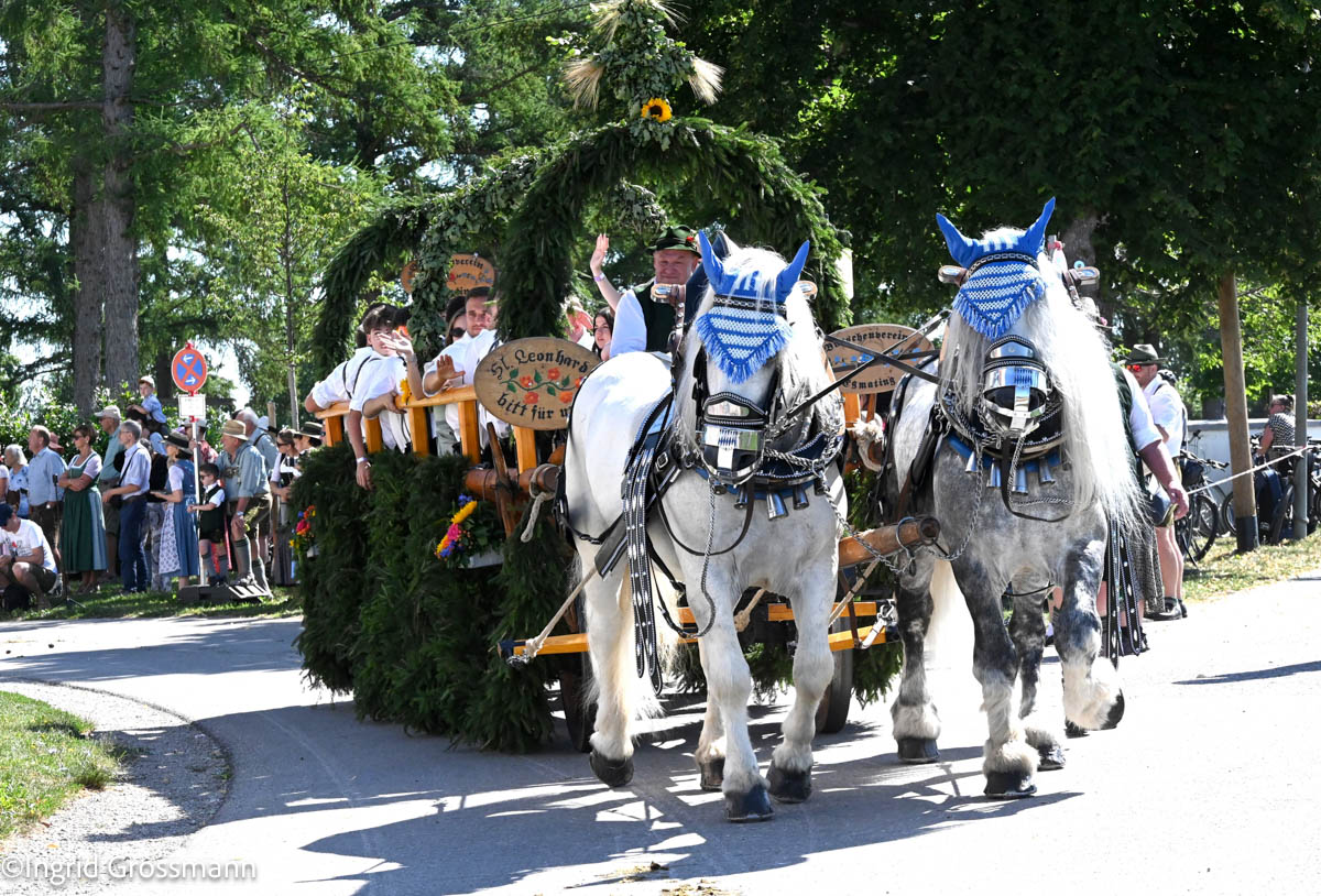 Leonhardifahrt Siegertsbrunn 2026 (©Foto: Ingrid Grossmann)