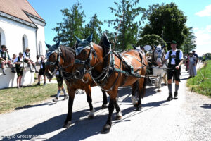 Leonhardifahrt Siegertsbrunn 2026 (©Foto: Ingrid Grossmann)