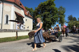 Leonhardi Fahrt 2026 in Höhenkirchen-Siegertsbrunn (©Foto: Martin Schmitz)