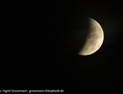 Mondfinsternis über München: Ein Schauspiel am frühen Morgenhimmel