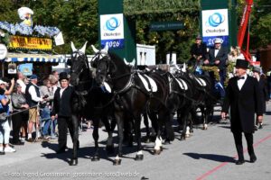 Einzug der Wiesnwirte am 19.09.2026 (©Foto: Ingrid Grossmann)