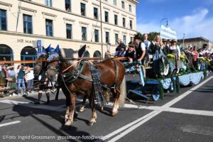 Trachten- und Schützenzug am ersten Wiesnsonntag 20.09.2026 (©Foto: Ingrid Grossmann)
