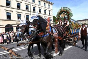 Trachten- und Schützenzug am ersten Wiesnsonntag 20.09.2026 (©Foto: Ingrid Grossmann)