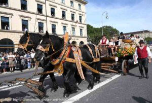 Trachten- und Schützenzug am ersten Wiesnsonntag 20.09.2026 (©Foto: Ingrid Grossmann)