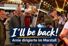 Arnie dirigirt im Marstall Zelt (©Fotos: Martin Schmitz)