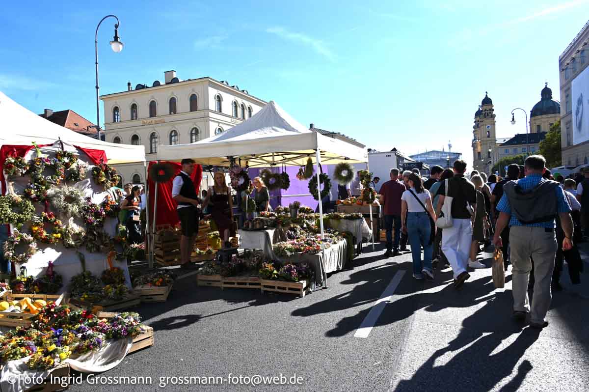 Bauernmarktmeile Odeonsplatz 2026 (©Foto: Ingrid Grossmann)