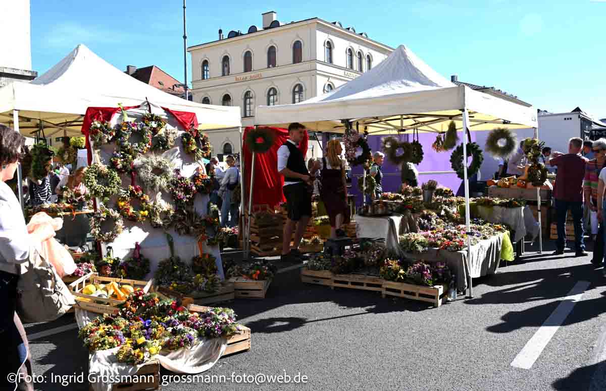 Bauernmarktmeile Odeonsplatz 2026 (©Foto: Ingrid Grossmann)