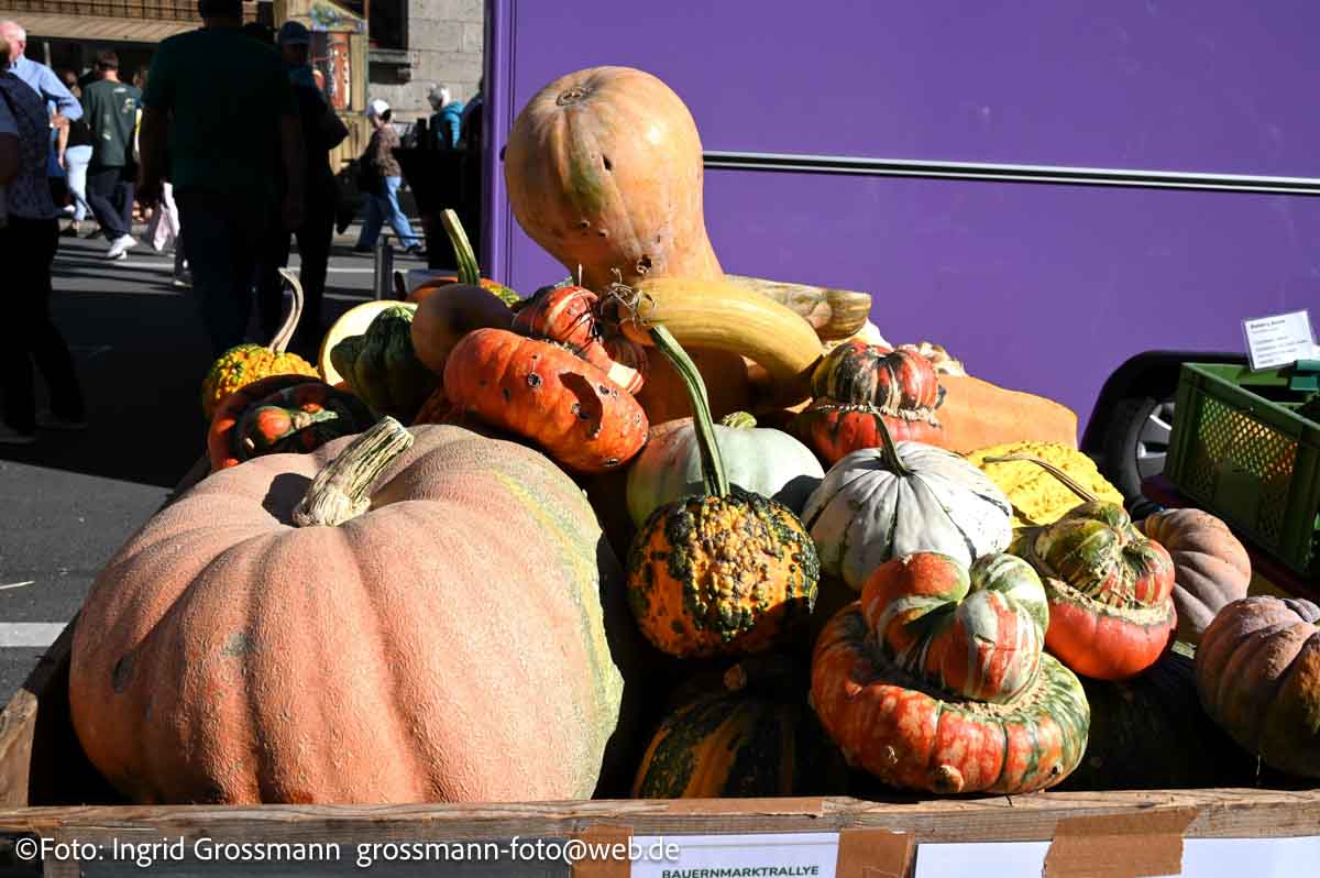 Bauernmarktmeile Odeonsplatz 2026 (©Foto: Ingrid Grossmann)