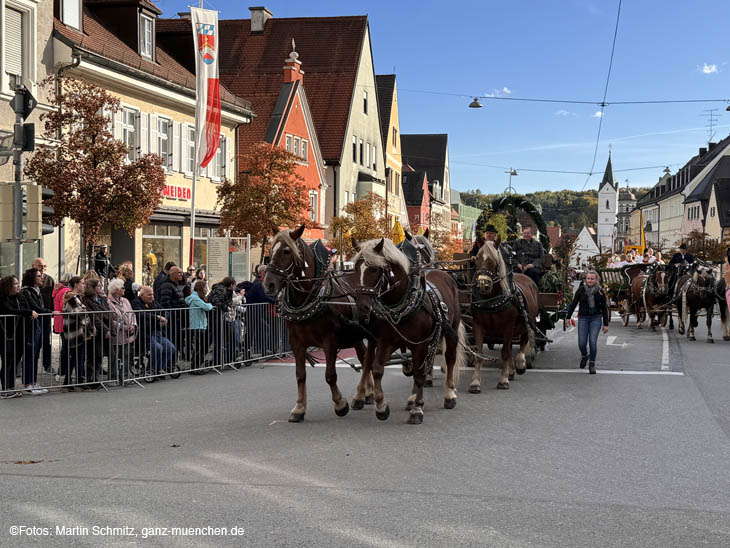 traditionelle Leonhardifahrt in Fürstenfeldbruck (©Foto: Martin Schmitz)