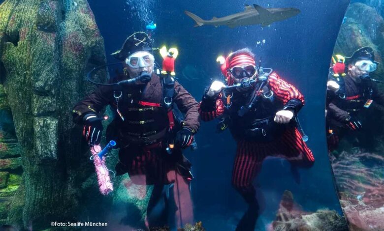 Zum Gruseln gut! Bis zum 15.11. tauchen jedes Wochenende Piraten auf Schatzsuche im SEA LIFE München ab (©Foto:Sea Life München)