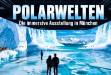 POLARWELTEN – Die immersive Ausstellung über die Arktis und Antarktis ab 29.10.2026 in München (Motiv COFO Entertainment)