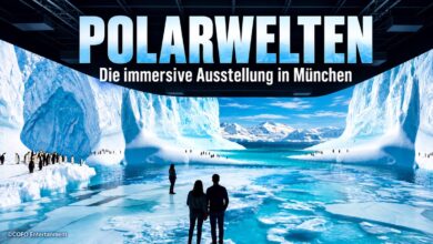 POLARWELTEN – Die immersive Ausstellung über die Arktis und Antarktis ab 29.10.2026 in München (Motiv COFO Entertainment)